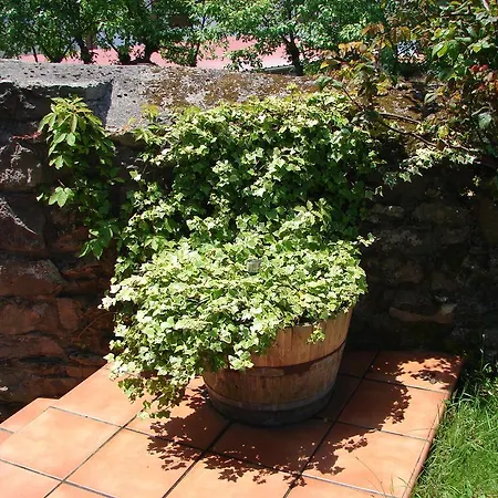 ホテル Casa De Aldea Duesos カラビア