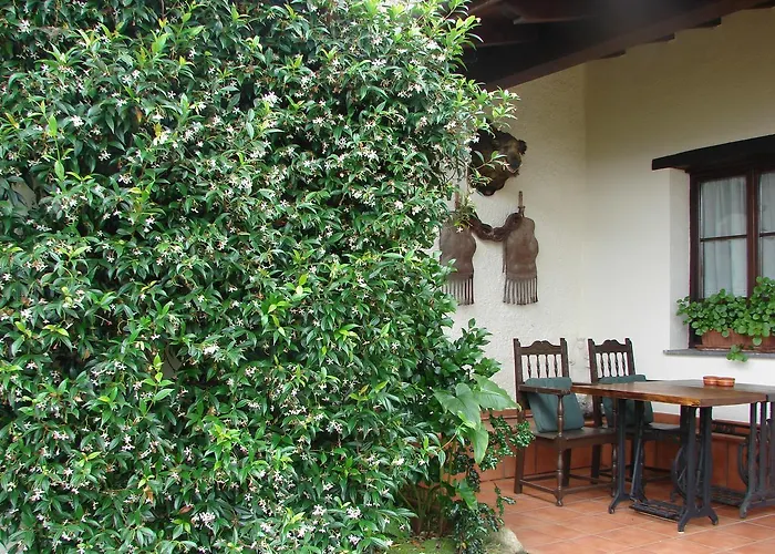 Casa De Aldea Duesos 3*